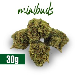 Super Skunk Mini Buds