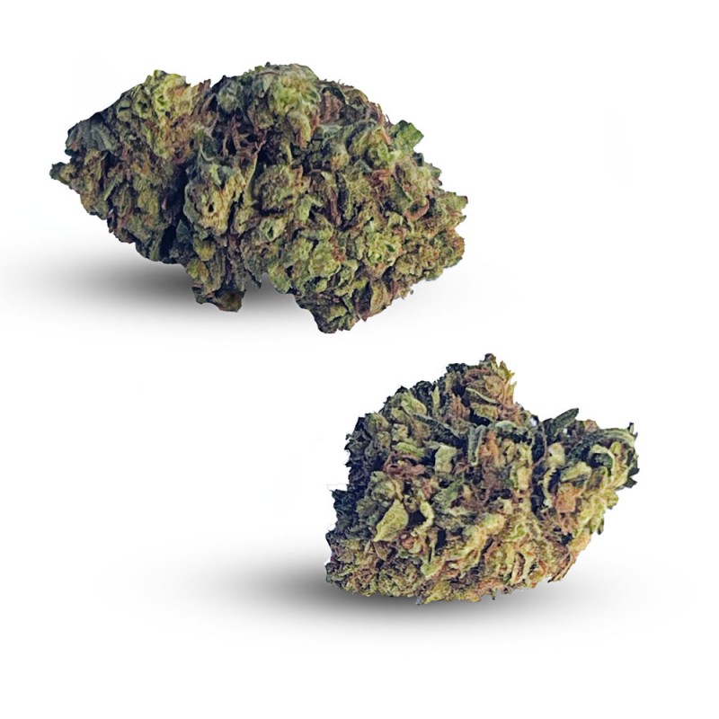 ak47 canapa light cbd